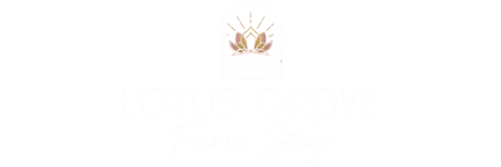Lotus Grove